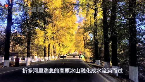 娱乐吃瓜君豪宅,揭秘豪宅背后的奢华生活